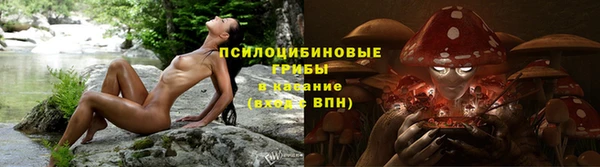 индика Магас