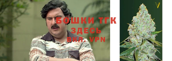 сатива Абдулино
