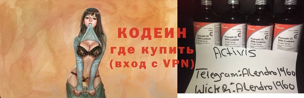 индика Магас