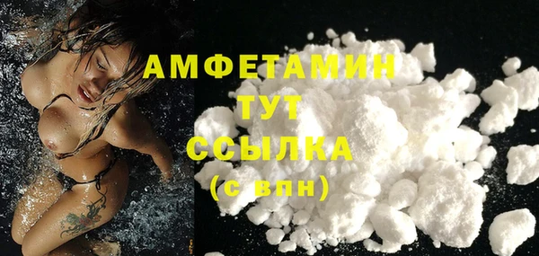твердый Абаза