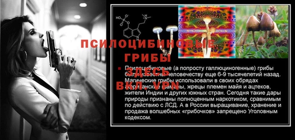 скорость Абинск