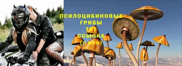 jwh Майский
