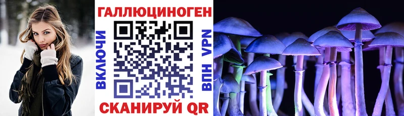 Галлюциногенные грибы мицелий  Ялта 